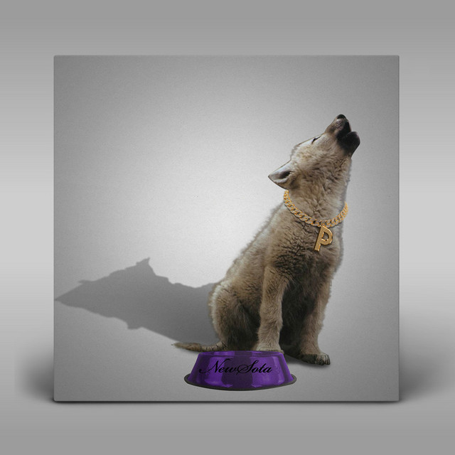 Newsota cover art