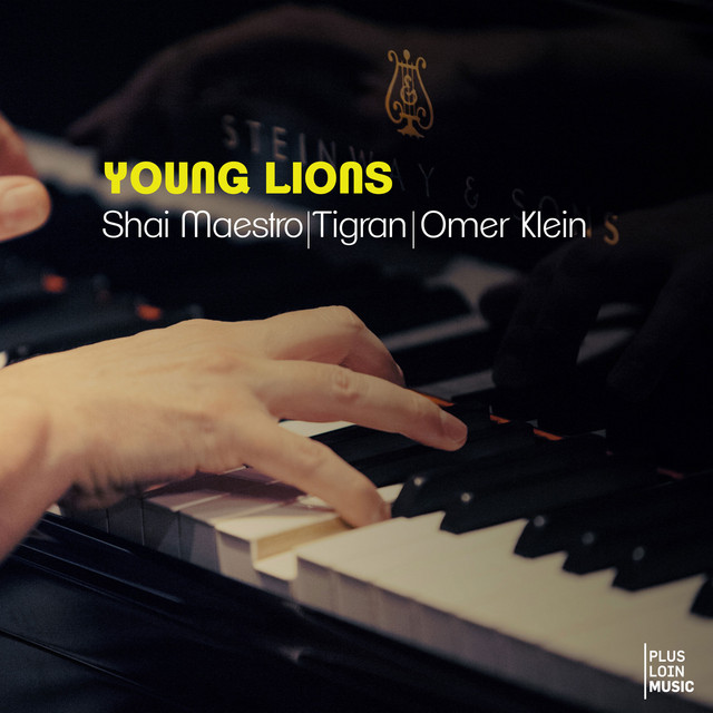 Young Lions Album By Shai Maestro Spotify young lions album by shai maestro