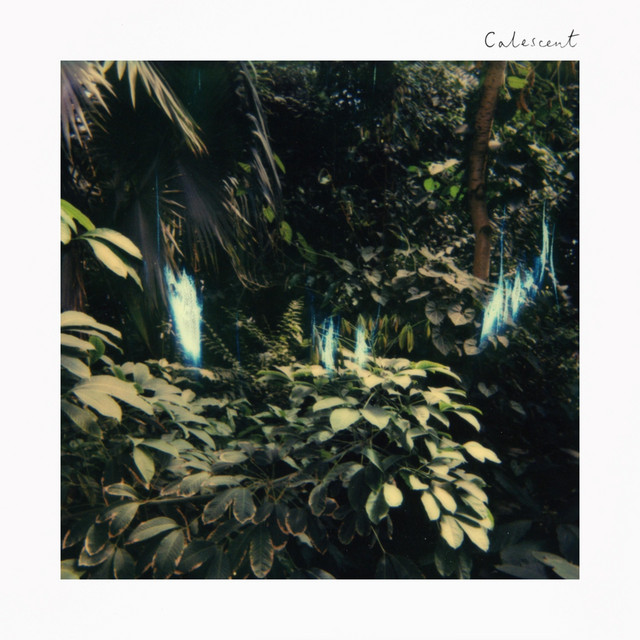 Calescent cover art
