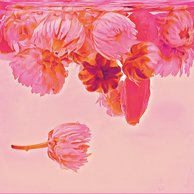 Inner Theory cover art
