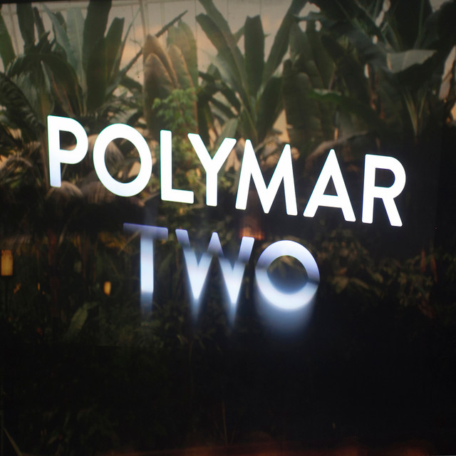 Polymar Two cover art