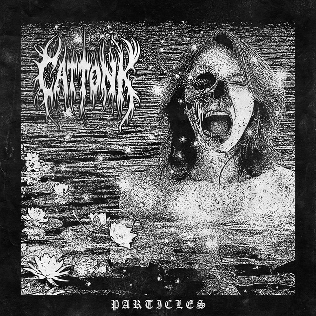 Particles cover art