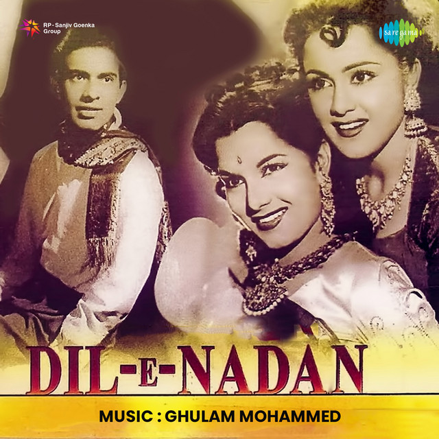 Dil-E-Nadan cover art