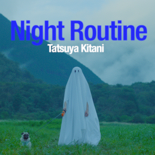 ナイトルーティーン cover art