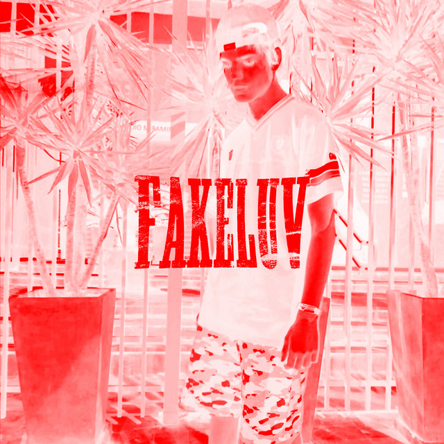 Fakeluv cover art