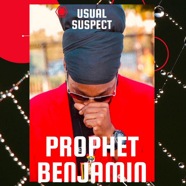 Usual Suspect cover
