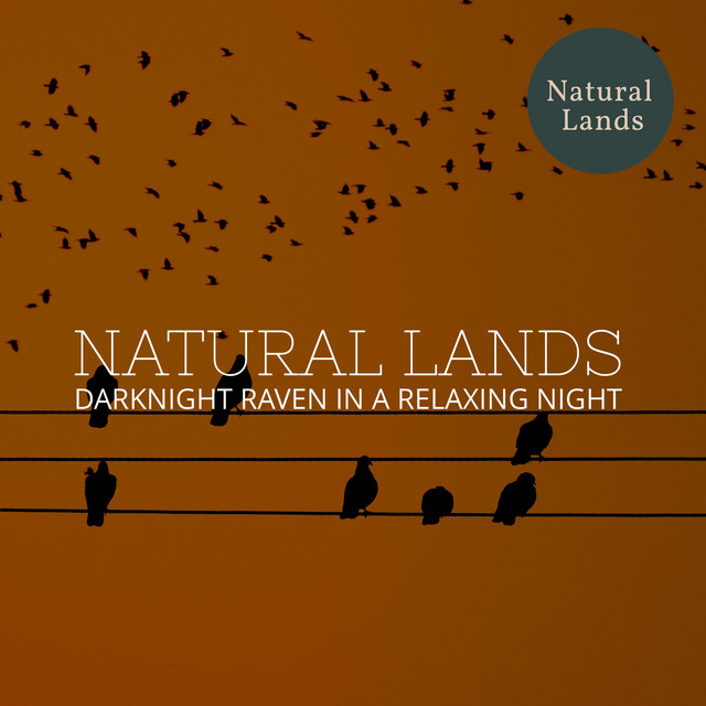 Miniature Distant Waterfall cover art