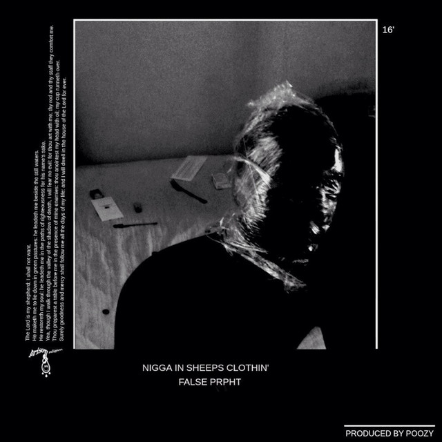 Nigga in Sheeps Clothin cover art