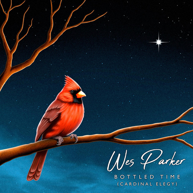 Bottled Time (Cardinal Elegy) cover