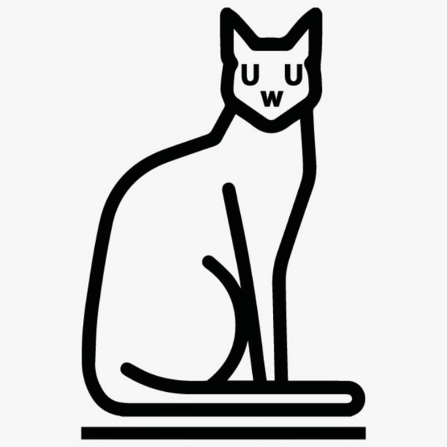 cats don't cry cover art