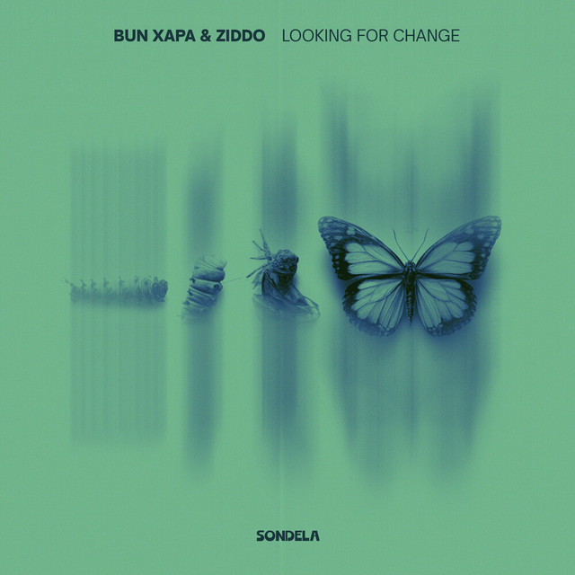 Looking For Change - Extended Mix album art