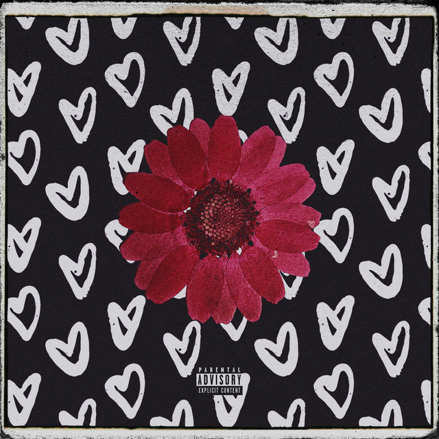 Polilover cover art