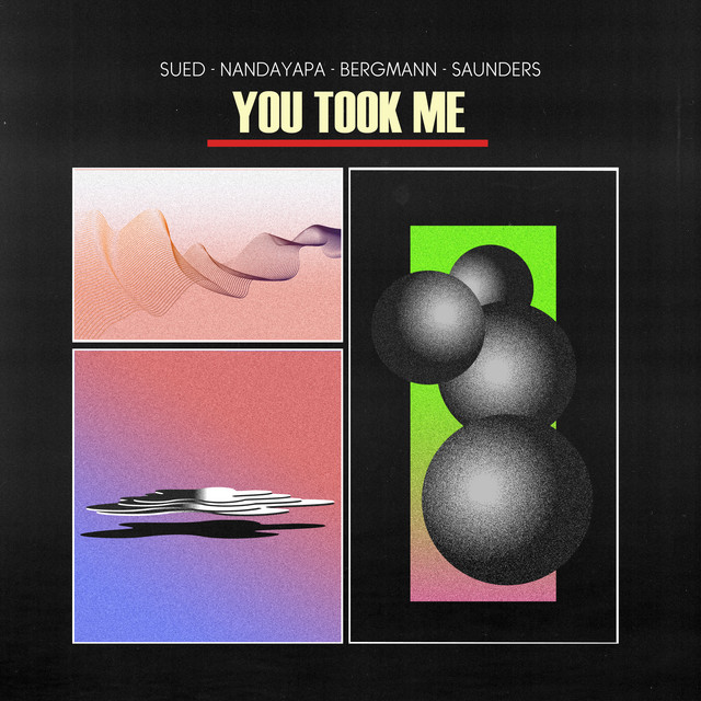 You Took Me cover art