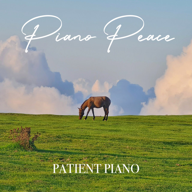 Patient Piano cover art