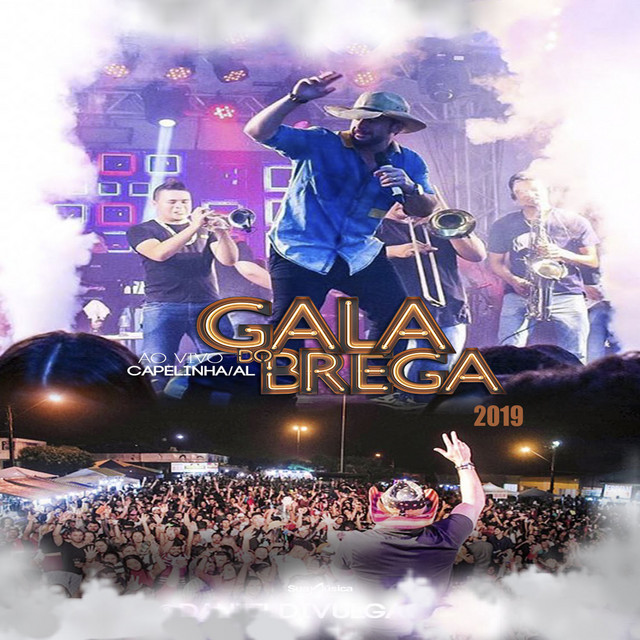 Ao Vivo em Capelinha / AL - 2019 cover art