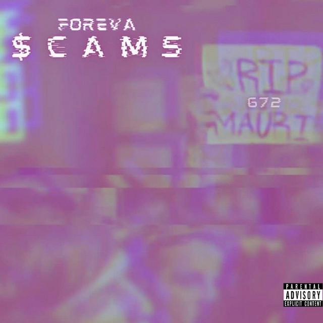 SWFB cover art