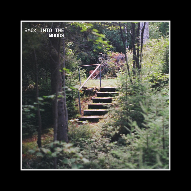 Back Into the Woods cover art