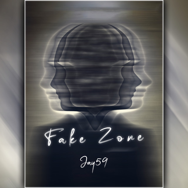 Fake Zone cover