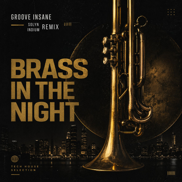 Groove Insane - Brass In The Night (Original Mix) Groovy Tunes cover art