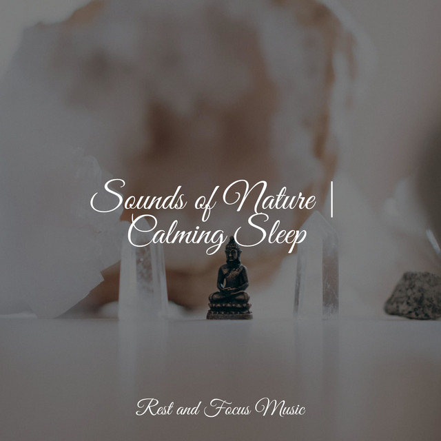 Sounds of Nature | Calming Sleep - Album by White Noise for Babies ...