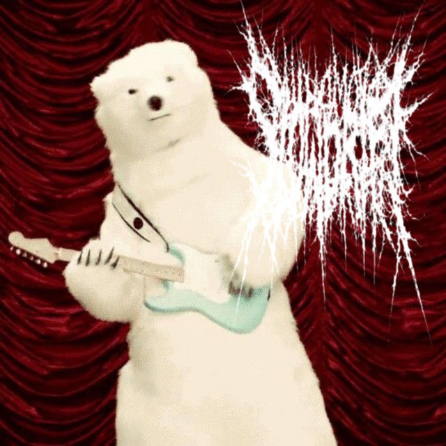 Tor cover art