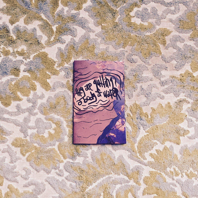 They Are Gutting a Body of Water cover art