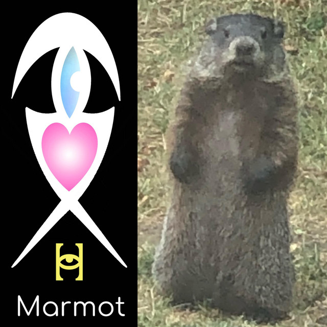 Marmot cover art