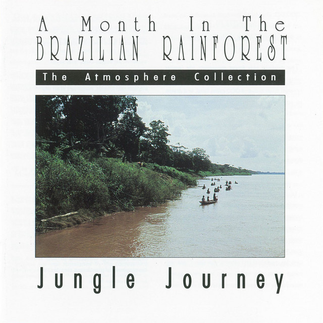 A Month In The Brazilian Rainforest: Jungle Journey