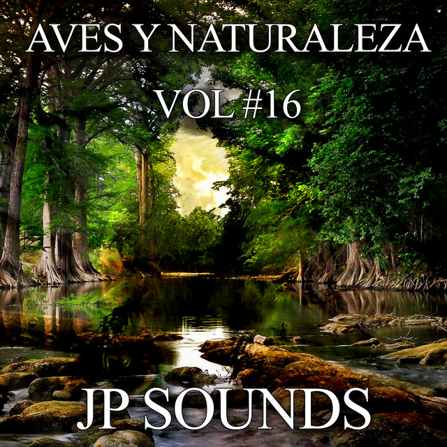 Aves Y Naturaleza, Vol. 16 cover art