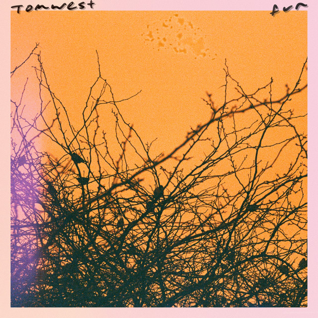 fun cover art