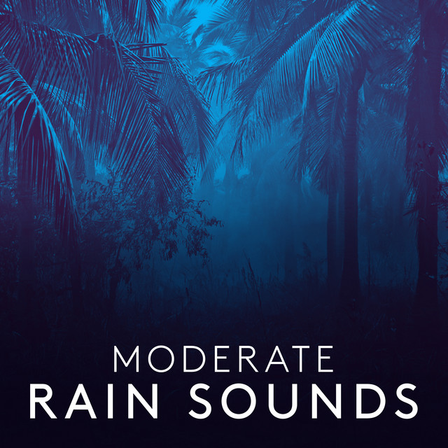 Moderate Rain Sounds ! ! ! ! - Album by Rain Sound Studio | Spotify