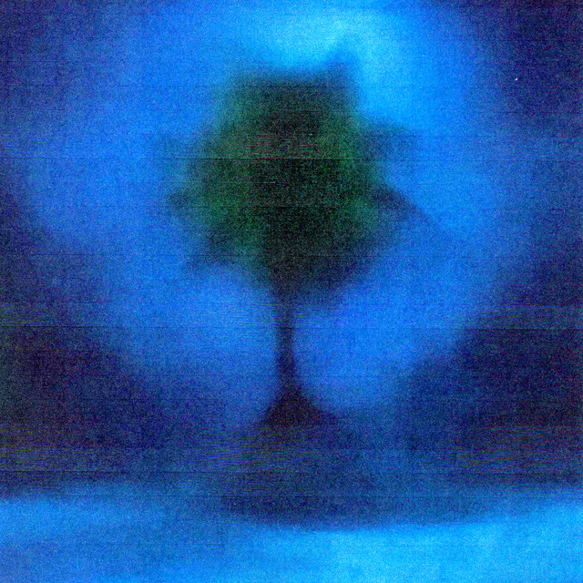 RED FLAGS cover art