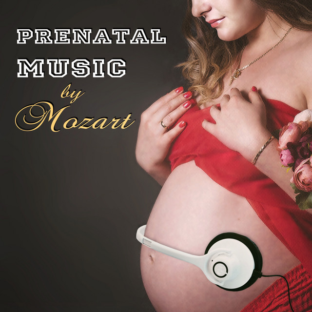 Prenatal Music by Mozart cover art