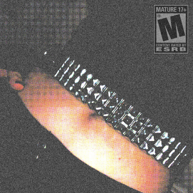 #schizo cover art