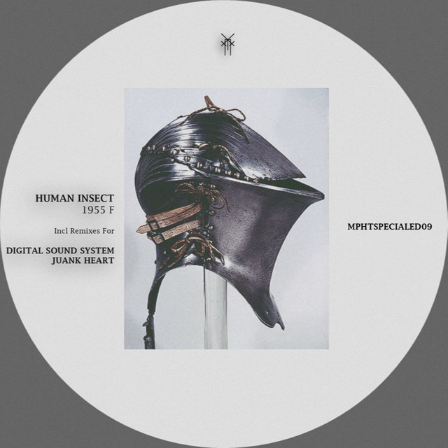 1955 F - Digital Sound System Remix cover art