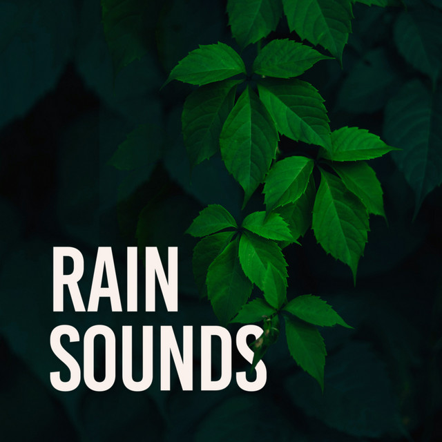 Rain Sounds cover art