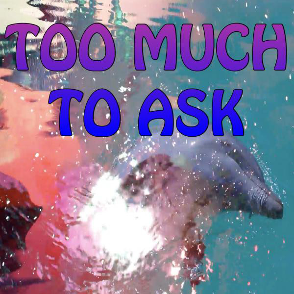 Too Much To Ask (Workout Remix)