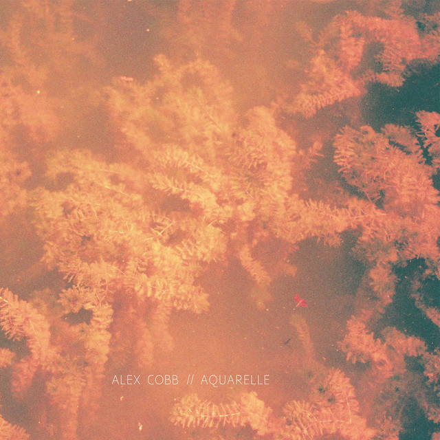 Alex Cobb / Aquarelle - Split LP cover