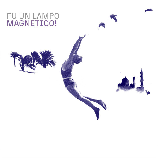 Fu un lampo magnetico! cover