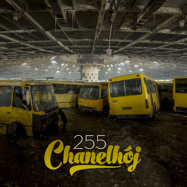255 cover art