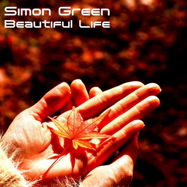 Beautiful Life