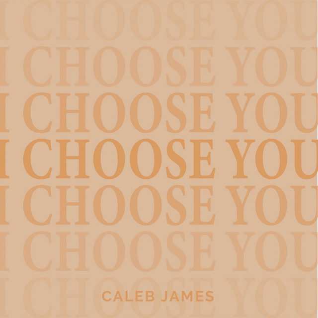 I Choose You cover art
