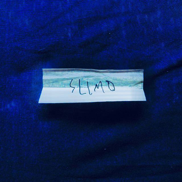 Joint cover art