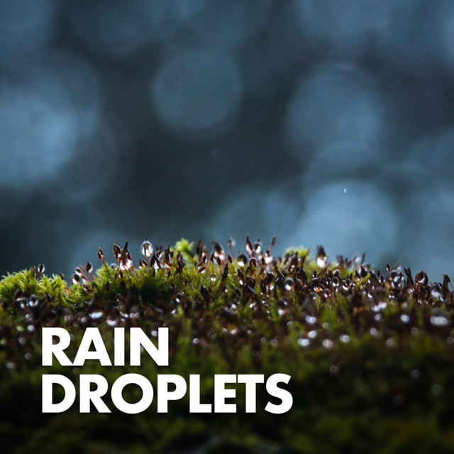Rain Droplets cover art