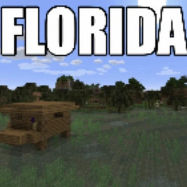 Florida Man wearing a turtle for a helmet kills cops