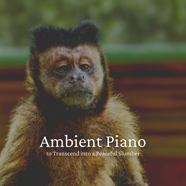 Ambient Piano to Transcend into a Peaceful Slumber cover art