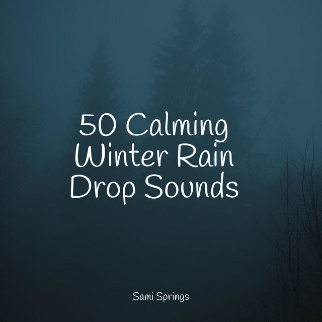 50 Calming Winter Rain Drop Sounds - Album by Academia de Música con ...