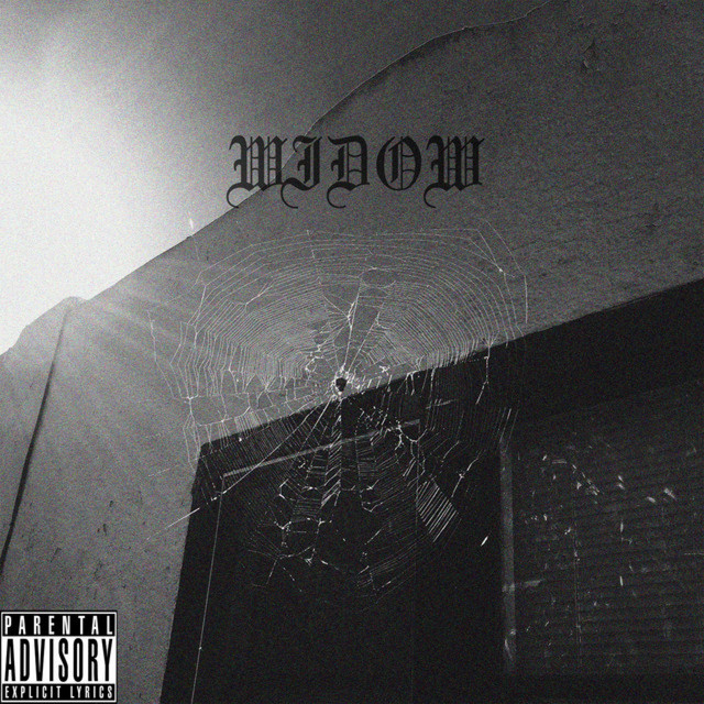 Widow cover art