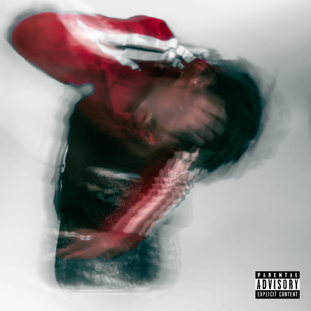 Bag cover art