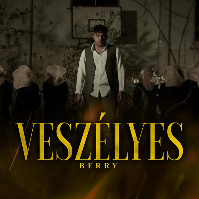 Veszélyes cover art